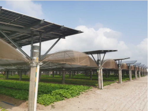 1679014772524043878.png 微信截图_20230317090658.png